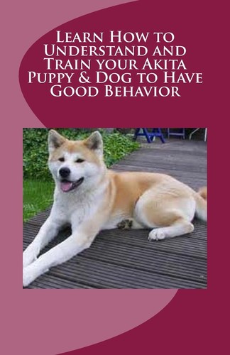 Learn how understand and - to,