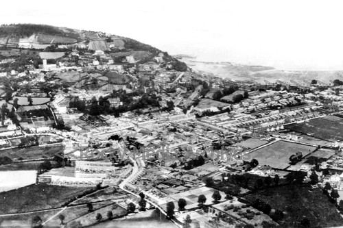 Bcm bird eye general - eye,