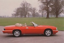 Jaguar XJS Car Jumbo Fridge
