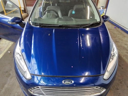Bonnet blue ford - bonnet, fl