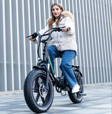 Folding Electric Bike 250W 48V