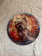 Yorkshire Terrier Yorkie Stain