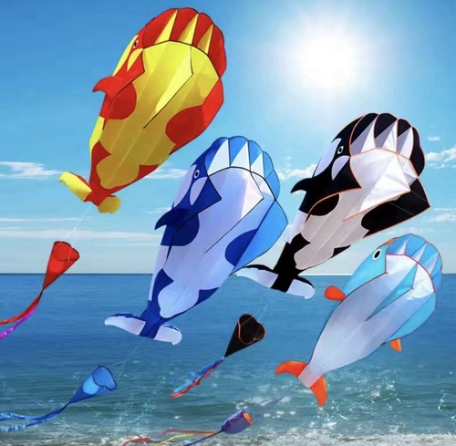 Large dolphin whale - whale, kite