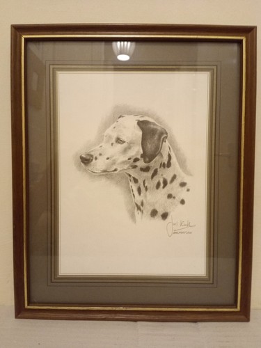 Framed joel kirk - framed, dalmatian