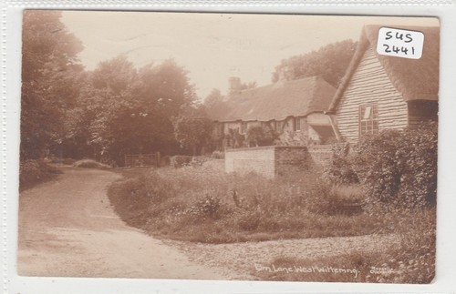 West wittering sussex elm - wittering,