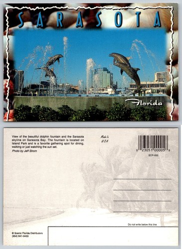 Sarasota florida dolphin - florida,