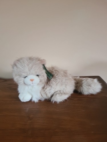 Anna club plush - plush, cat