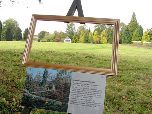 Photo the pinetum - pinetum, at
