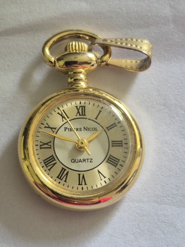 Pierre nicol gold colour small - pierre,