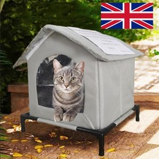Cat winter insulated - winter, house