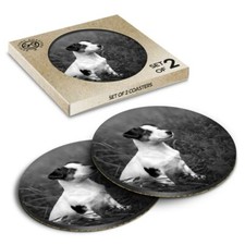 2 x Boxed Round Coasters - BW - Jack Russell Terrier Dog Puppy  #37846