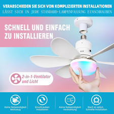 Socket Ceiling Fan with Light