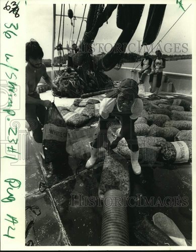 1984 press photo norman - press,