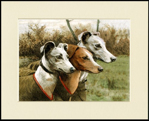 Whippet dog art print mounted - dog,