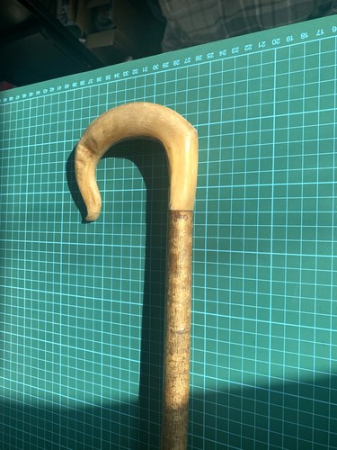 Ram horn shepherd - ram’s, shepherd’s