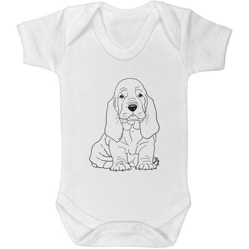 Basset hound puppy - baby, grow