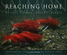 Reaching home pacific salmon - reaching,