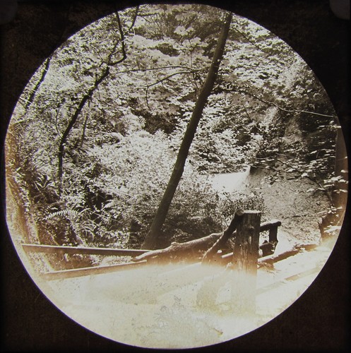 Glass magic lantern slide - glass,