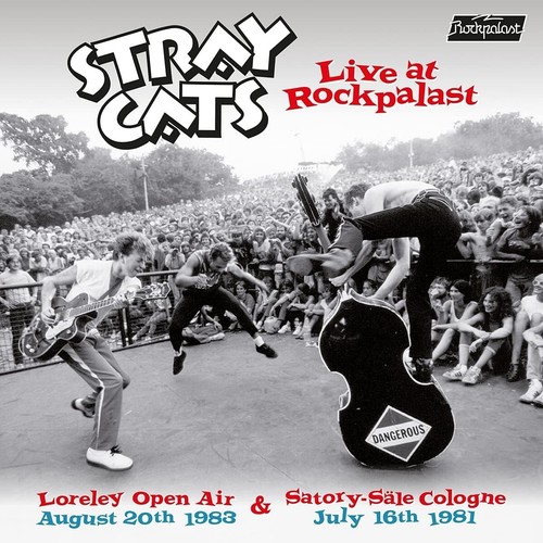 Stray cats live at - cats,