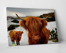 HIGHLAND COW Brown Canvas Art