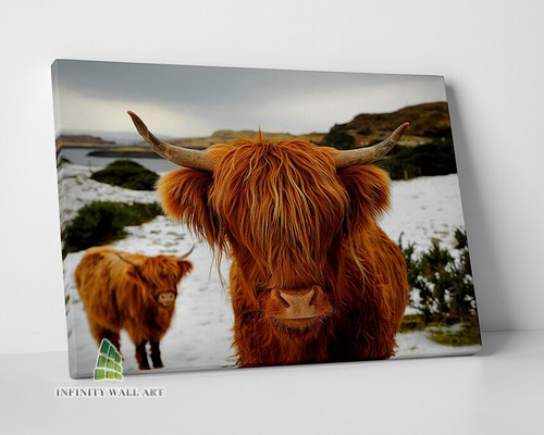 Highland cow brown canvas - highland,