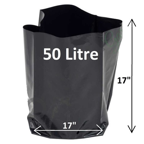 Litre poly plant - poly, grow