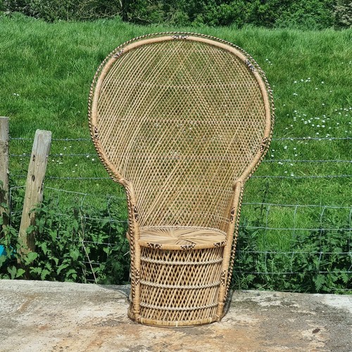 Vintage 1970s rattan peacock - vintage,