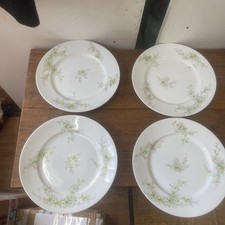 Antique Limoges France Daisy
