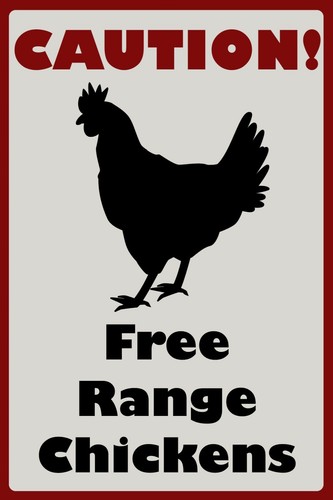 Free range chickens warning - range, chickens,
