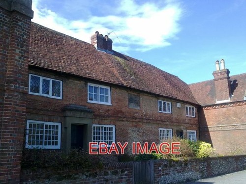 Photo former black horse - photo,