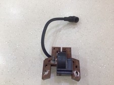 Briggs & Stratton Engine -