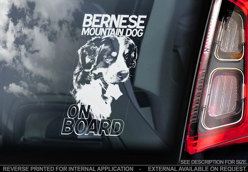 Bernese mountain dog car - mountain,