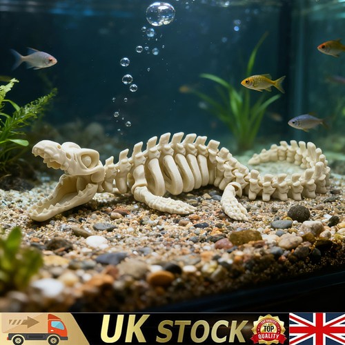 Large dinosaur skull skeleton - large,
