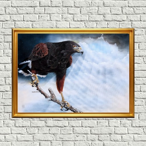 Harris hawk unframed - harris,