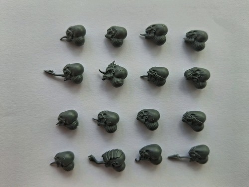 16x acolyte hybrids heads - 16x,