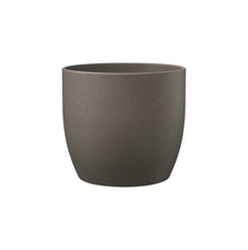 Ceramic , Cement Indoor Plant