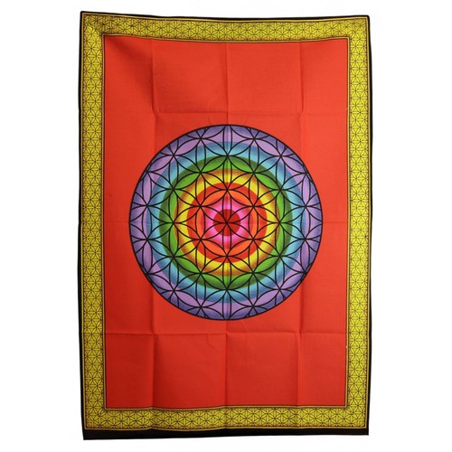 Rainbow flower life cotton - flower,