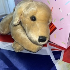 Monty golden labrador - monty, soft