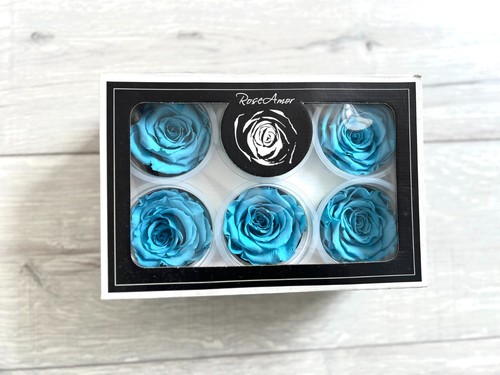 New rose amor preserved - new,