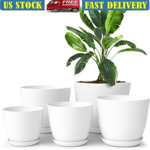 Indoor plant pots - indoor, drainage