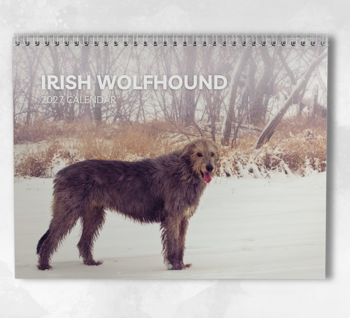 Irish wolfhound calendar 2027 - irish,