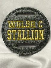 1 X 8cm Green LEATHER  WELSH C