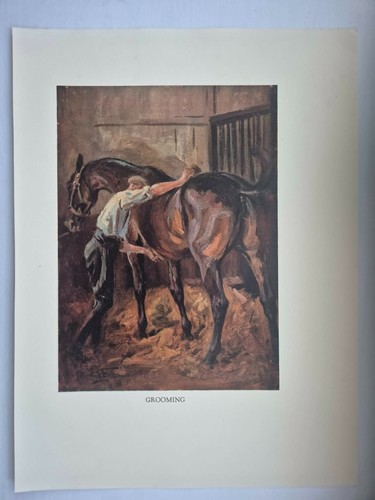 Antique coloured fox hunting - antique,