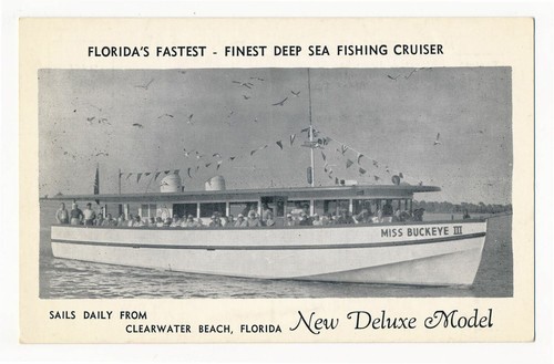 Miss buckeye iii deep - miss,