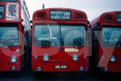 Bus photo london transport - photo,