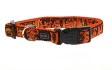 Hunter dog collar - collar, krazy