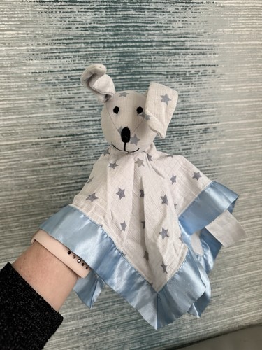 Aden and anais blue muslin - and,