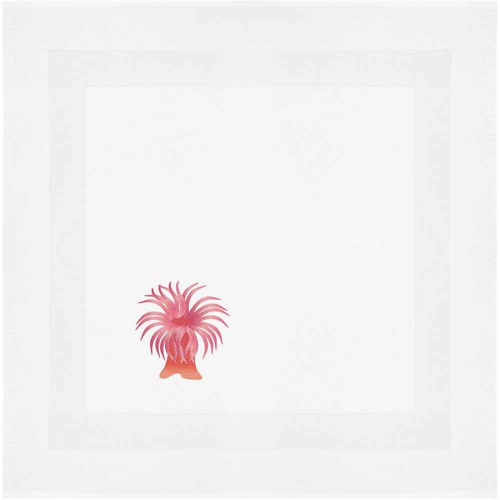 Sea anemone cotton napkin - anemone',