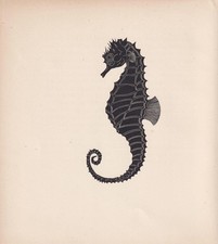 1929 SEAHORSE Print Wood