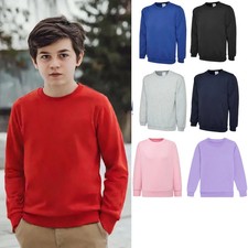 Boys Jumper Girls  Sweatshirt Crew Round Neck Top Jersey School Uniform Ages